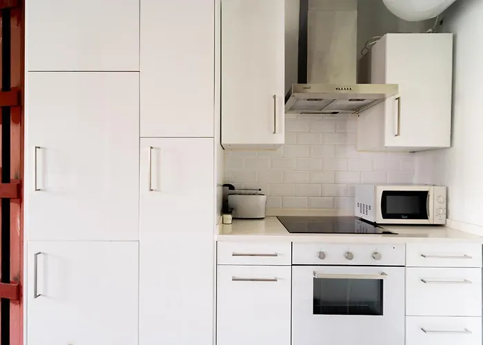 Apartamento Reformado Estilo Industrial Plaza De Tirso De Molina Alquiler Temporal